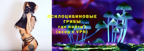 2c-b Армянск