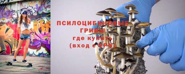 таблы Арсеньев