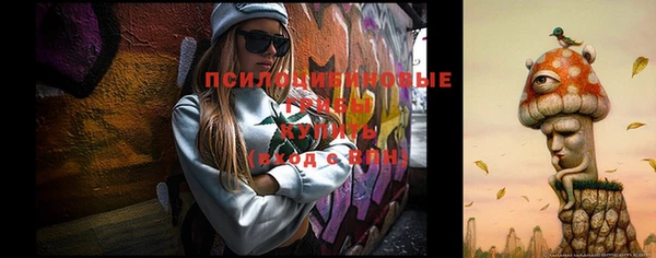 2c-b Армянск